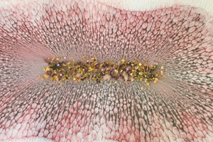 Balíček 5 kurzov za zvýhodnenú cenu